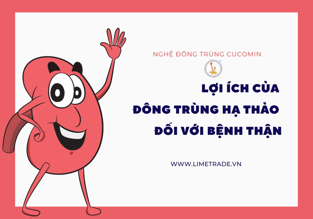 Công dụng của đông trùng hạ thảo đối với người bệnh thận