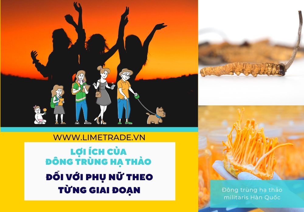 Công dụng của đông trùng hạ thảo đối với phụ nữ theo từng giai đoạn