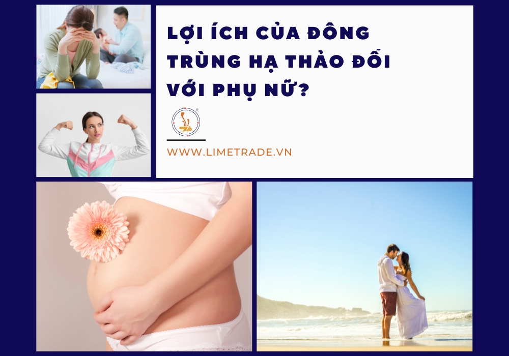 Lợi ích của đông trùng hạ thảo đối với phụ nữ?