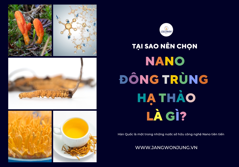 Nano đông trùng hạ thảo là gì?